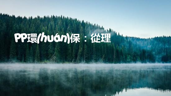 PP環(huán)保：從理念到實踐，致力于構(gòu)建新型環(huán)保生態(tài)系統(tǒng)